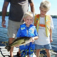 Ryan's Fish